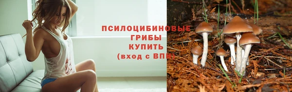 прущая мука Нефтекумск