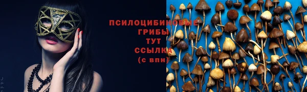 Альфа ПВП Нея