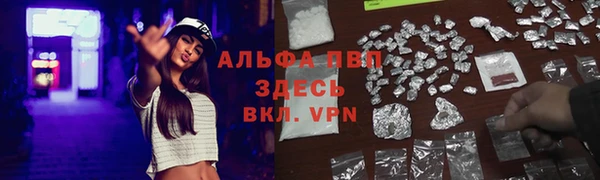 PSILOCYBIN Навашино