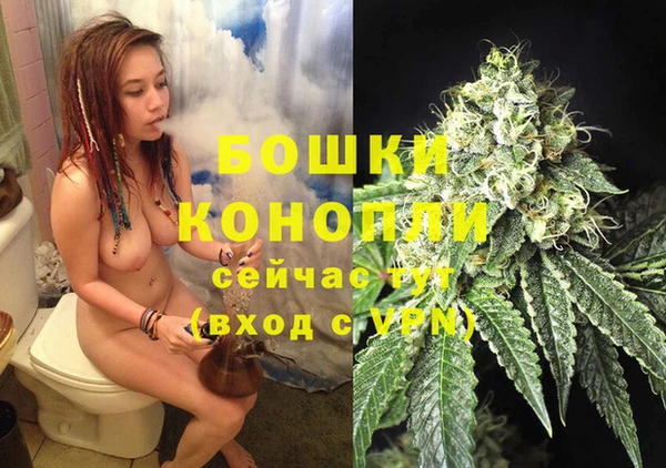 Альфа ПВП Нея