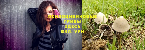 Альфа ПВП Нея