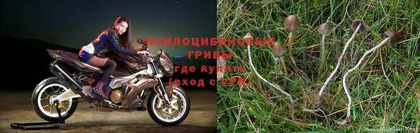Альфа ПВП Нея