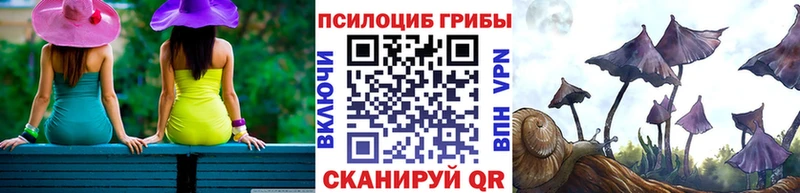 Купить закладки  Красноярск  Псилоцибиновые грибы мухоморы 